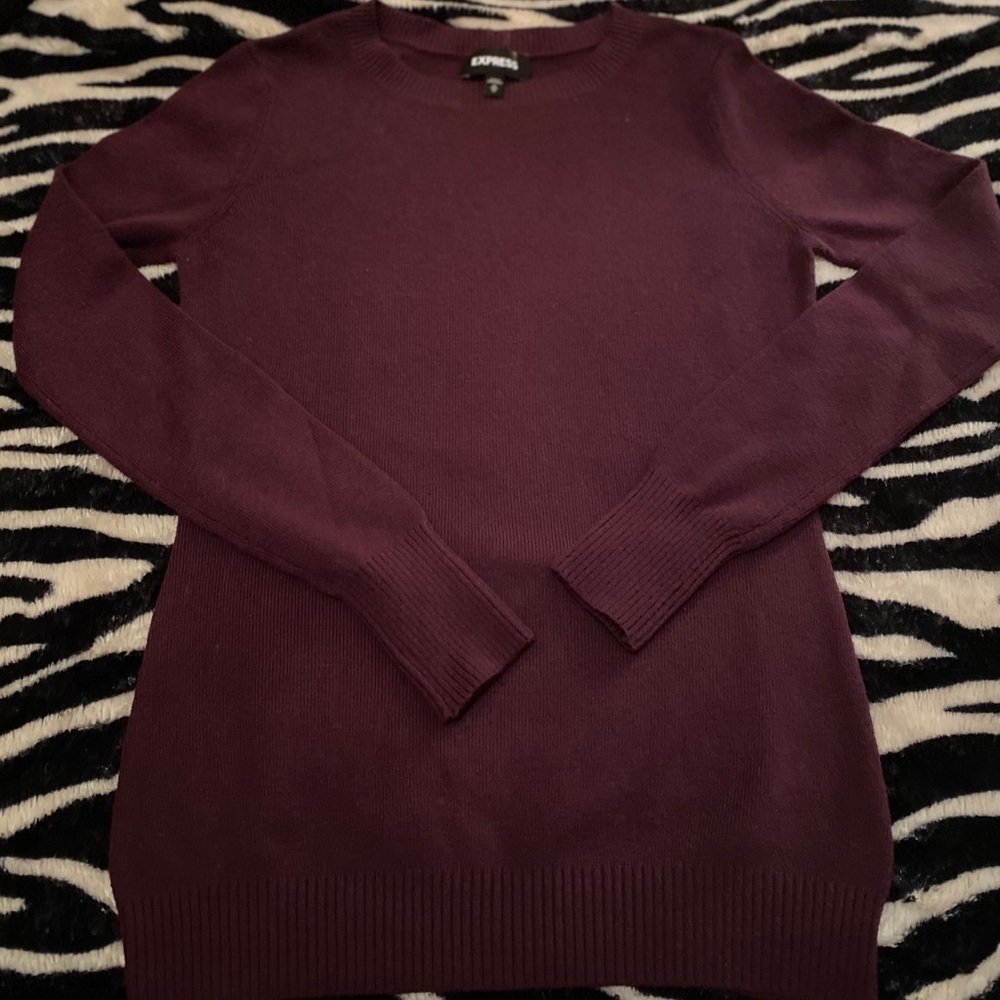Express Crew Neck Sweater